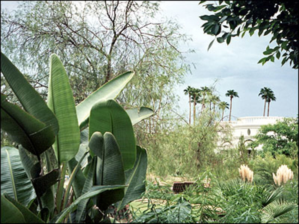 06_palmsprings_02.jpg